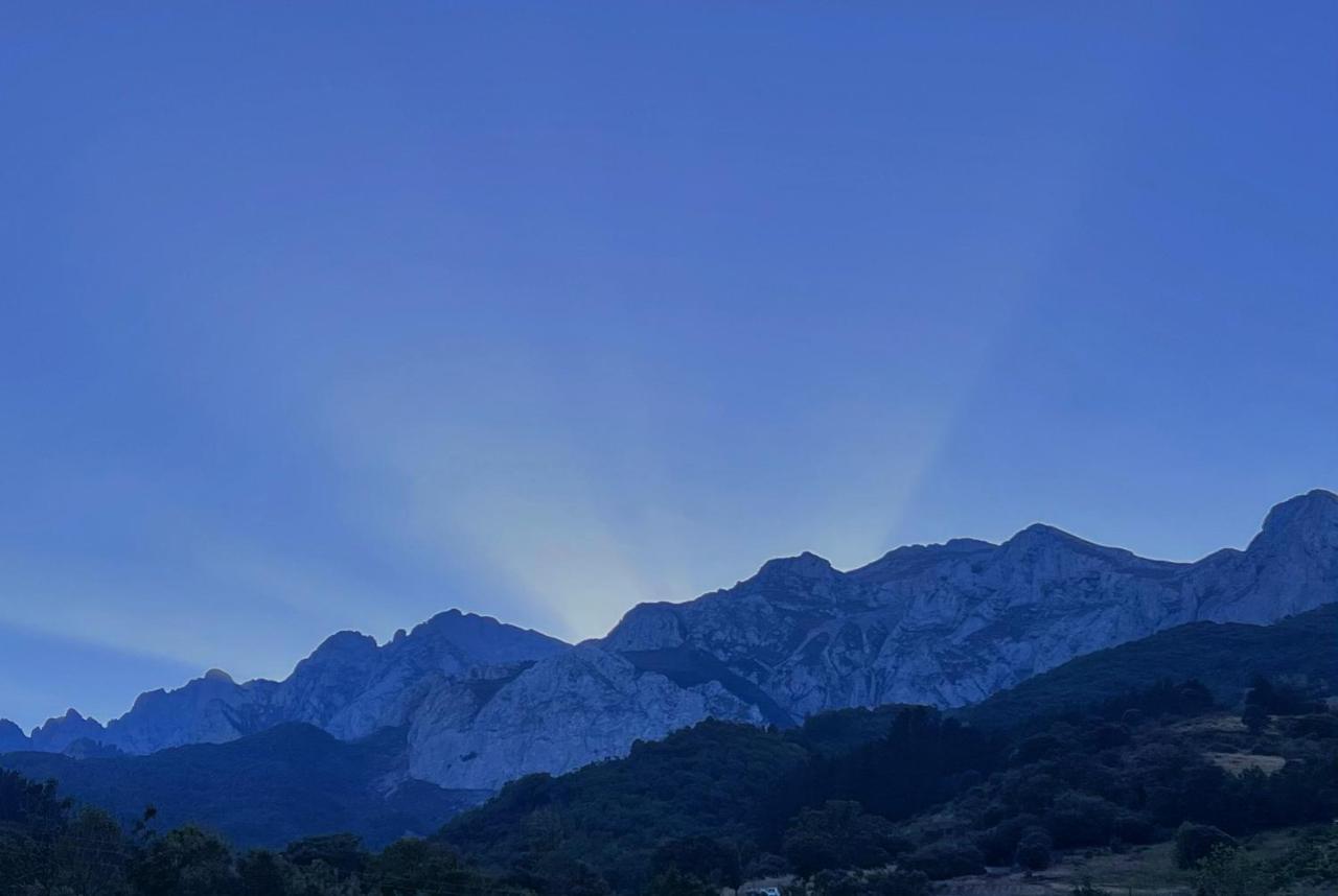 Basiver - Pico Samelar Armano