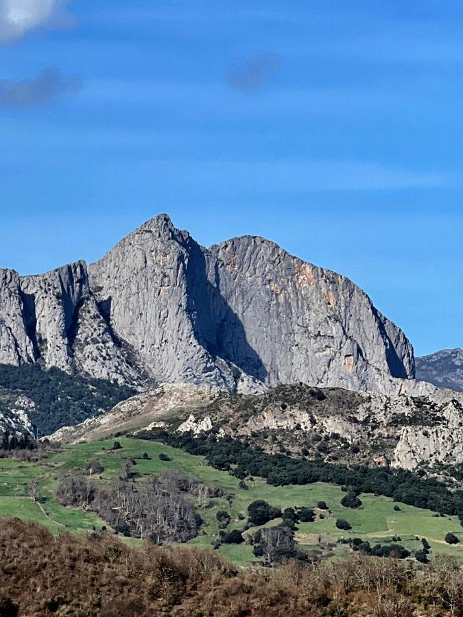 Basiver - Pico Samelar *