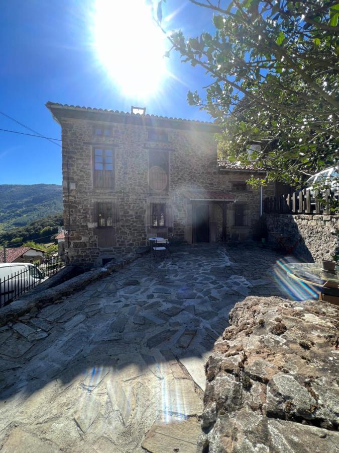 Basiver - Pico Samelar Armano