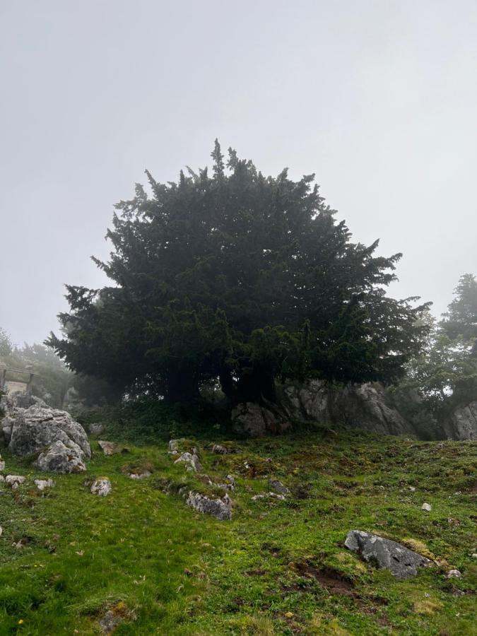 Basiver - Pico Samelar Country house